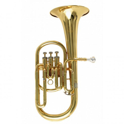 SoundSation SFA10G Flicorno Alto in Mib