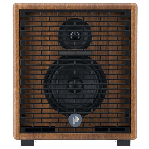 Prodipe Natural 5 V2 5W Walnut Wood Amplificatore Acustico