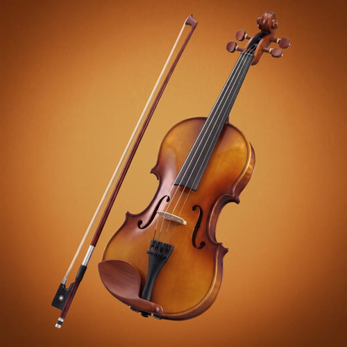 Domus Allievo 1 Violino 34