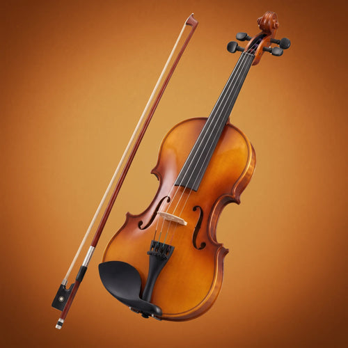 Domus Principiante 44 Violino