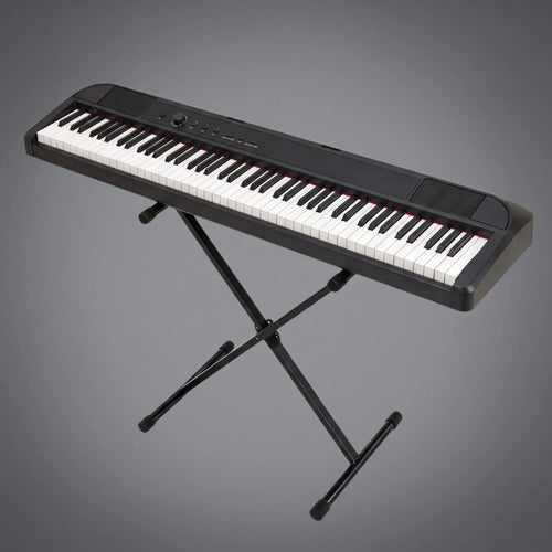 Echord DP1 Supporto a X