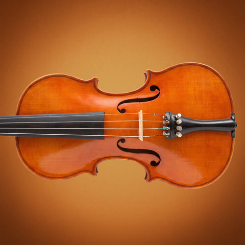 Violino di liuteria Sepp Hornsteiner