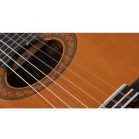 Yamaha C40 Chitarra Classica_3