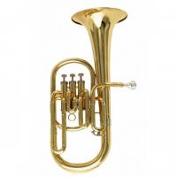 SoundSation SFA-10G Flicorno Alto in Mib