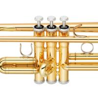 Yamaha YTR-4335G II Tromba in Sib _3