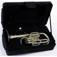 SoundSation SFA-10G Flicorno Alto in Mib_2