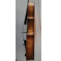 Violino antico con etichetta Stradivari_6
