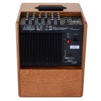 Acus One Forstrings 6T Wood 130W Amplificatore per strumenti acustici e voce - NUOVO ARRIVO_2