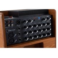 Acus One Forstrings 6T Wood 130W Amplificatore per strumenti acustici e voce_4