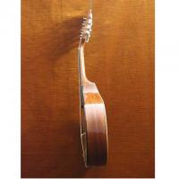 Musikalia Dott. Alfio Leone Mandolino piatto_2