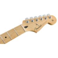 Fender Stratocaster Player MN Blk Black Chitarra Elettrica NUOVO ARRIVO_5