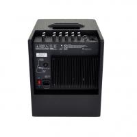 Acus One Forstrings 5T Black 75W Amplificatore per strumenti acustici e voce NUOVO ARRIVO_2