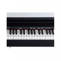 Orla Stage Starter Black + Supporto a X, Alimentatore leggio e pedale incluso Pianoforte Digitale_4