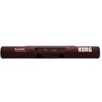 Korg PA1000 Tastiera con arranger_2