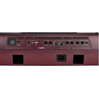 Korg PA1000 Tastiera con arranger_5