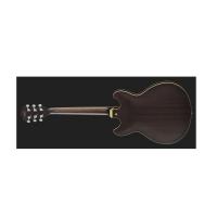 Ibanez AS53 TKF Transparent Black Flat Chitarra Semiacustica - NUOVO ARRIVO DISPONIBILITA' IMMEDIATA_2