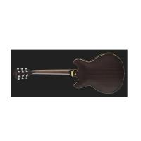 Ibanez AS53 TKF Transparent Black Flat Chitarra Semiacustica - NUOVO ARRIVO_2