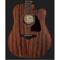 Ibanez AW54CE OPN Open Pore Natural Chitarra Acustica Elettrificata_3