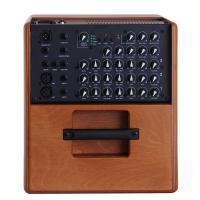 Acus One Forstrings 8W 200W B STOCK Amplificatore per strumenti acustici e voce_2