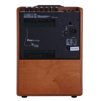 Acus One Forstrings 8W 200W B STOCK Amplificatore per strumenti acustici e voce_3