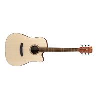 Ibanez PF10CE OPN Open Pore Natural Chitarra Acustica Elettrificata NUOVO ARRIVO