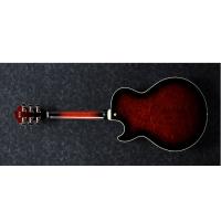 Ibanez AG95QA DBS Dark Brown Sunburst Chitarra Semiacustica NUOVO ARRIVO_2