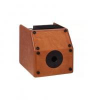 Acus One Forstrings 5T Cut Wood 75W Amplificatore per strumenti acustici e voce_3