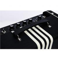 Supro Delta King 10 Black & Cream Amplificatore Valvolare per chitarra elettrica_4