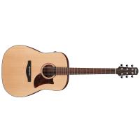 Ibanez AAD100E OPN Open Pore Natural Chitarra Acustica Elettrificata_1