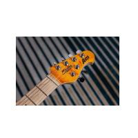 Sterling AX3FM Axis Flame Maple Top Trans Gold Chitarra elettrica_4