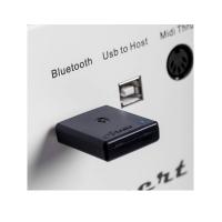 Artesia BT-1 Bluetooth Receiver per Pianoforti Artesia e Orla Ricevitore Bluetooth_2
