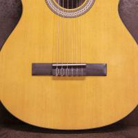 Walden WAN450W Standard 400 Chitarra Classica ULTIMO PEZZO_4