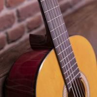Walden WAN450W Standard 400 Chitarra Classica ULTIMO PEZZO_5