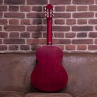 Walden WAN450W Standard 400 Chitarra Classica ULTIMO PEZZO_6