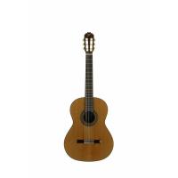 José Torres JTC-30 Chitarra Classica DISPONIBILITA' IMMEDIATA - NUOVO ARRIVO_1