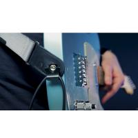 D'Addario PWDLC01 Dual-Lock Strap Lock_5