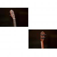 Ortega RU5-TE Ukulele Tenore_6