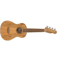 Fender Zuma Exotic Concert Ukulele WN Spalted Maple Ukulele Concerto NUOVO ARRIVO