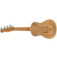 Fender Zuma Exotic Concert Ukulele WN Spalted Maple Ukulele Concerto NUOVO ARRIVO_2