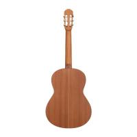 José Torres JTC-20S Chitarra Classica NUOVO ARRIVO_2