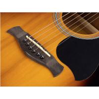 Richwood RA-12-CESB Auditorium Chitarra Acustica Elettrificata NUOVO ARRIVO_2