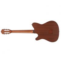 Ibanez FRH10N NTF Natural Flat Chitarra Classica Elettrificata_2