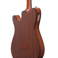 Ibanez FRH10N NTF Natural Flat Chitarra Classica Elettrificata_3