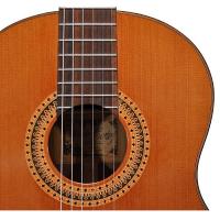 Salvador Cortez CC-80 Chitarra classica_3