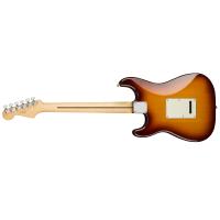 Fender Player Stratocaster PF Plus Top TBS Tobacco Sunburst Chitarra Elettrica DISPONIBILITA' IMMEDIATA - NUOVO ARRIVO_2