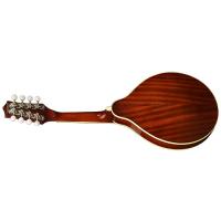Richwood RMA-60-VS Mandolino_2