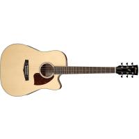 Ibanez PF16WCE NT Natural High Gloss Chitarra Acustica Elettrificata NUOVO ARRIVO