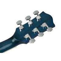 Richwood RA-12-CEBS Auditorium Chitarra Acustica Elettrificata NUOVO ARRIVO_6