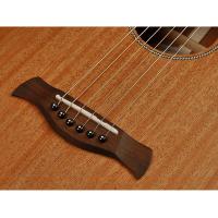 Richwood P-50-E Chitarra Acustica Elettrificata Parlor ULTIMO PEZZO_3