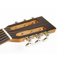 Richwood P-50-E Chitarra Acustica Elettrificata Parlor ULTIMO PEZZO_5